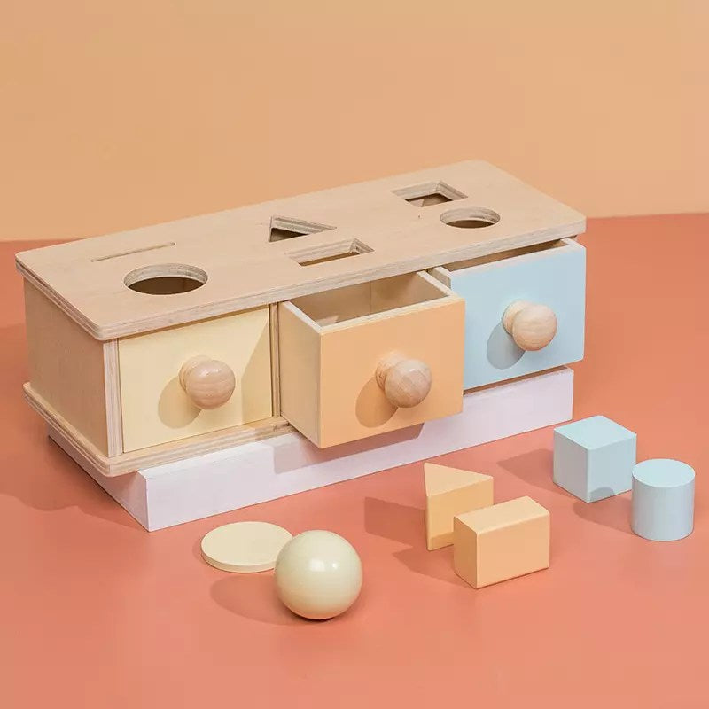 Montessori Wooden Toys